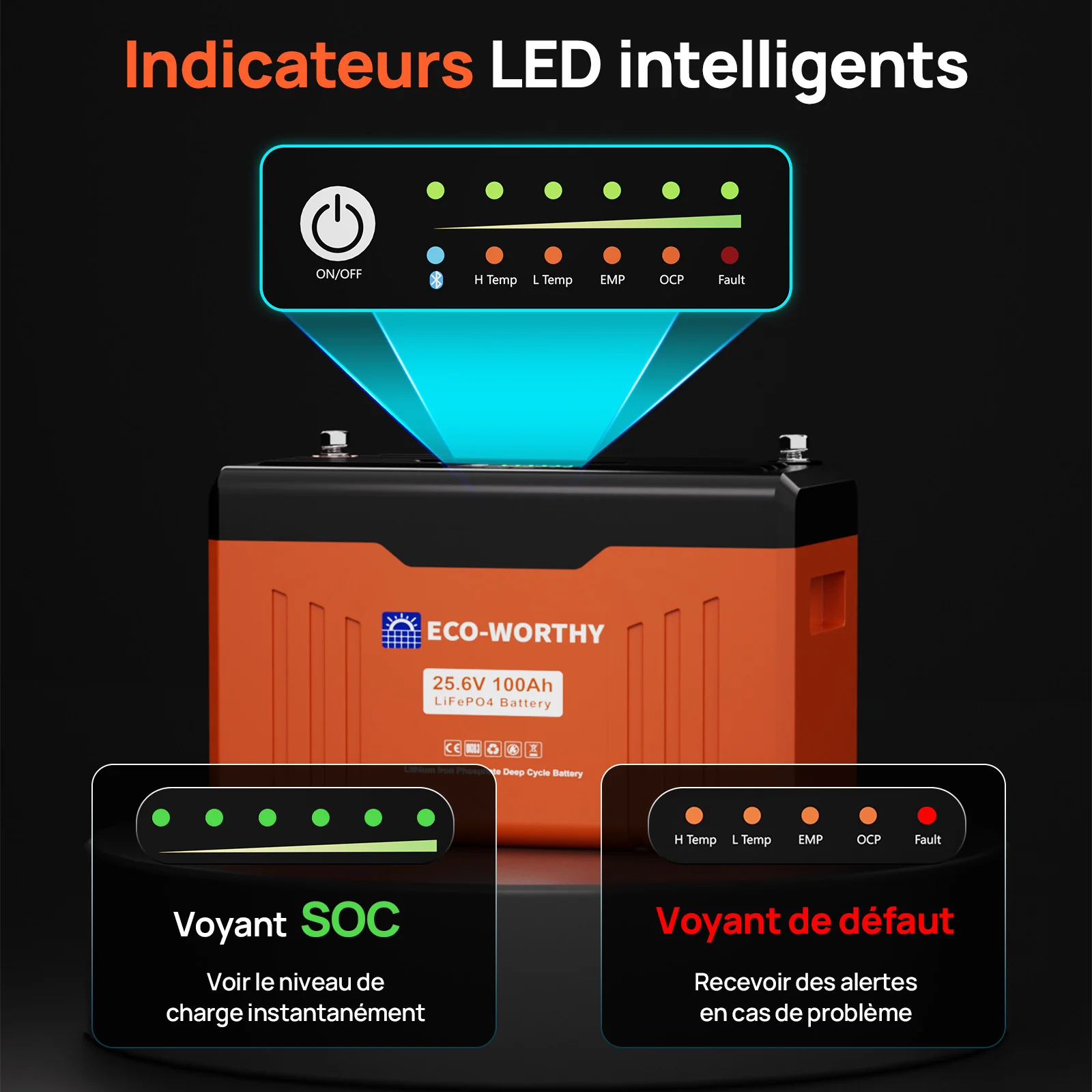 Eco-Worthy Batterie au lithium LiFePO4 24V 100Ah Bluetooth avec protection basse température, Lumières LED SOC, 100A BMS - Image 3
