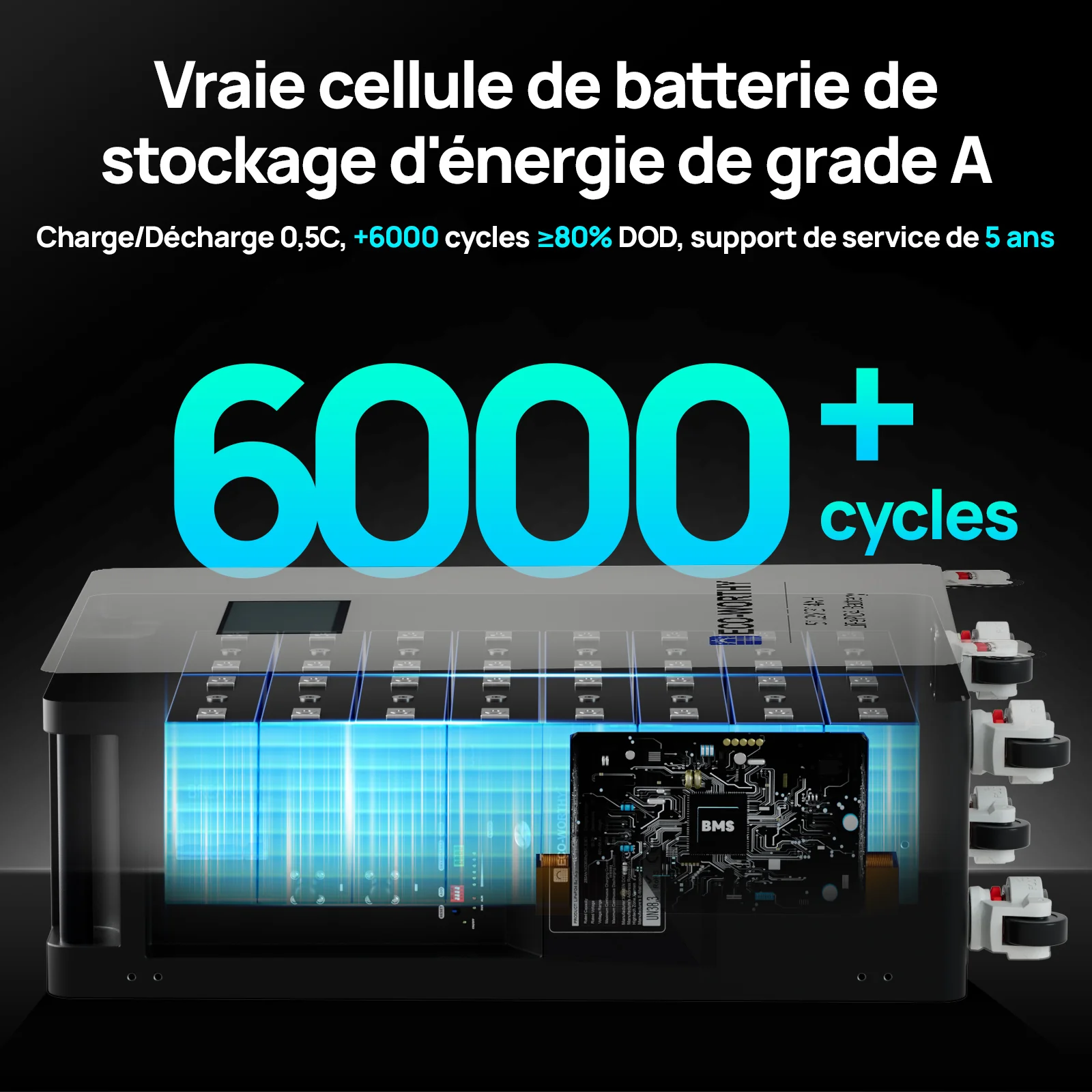Eco-Worthy Batterie Domestique au Lithium Lifepo4 48V 314Ah | Modèle Sur Pied Avec Roulettes - Image 4