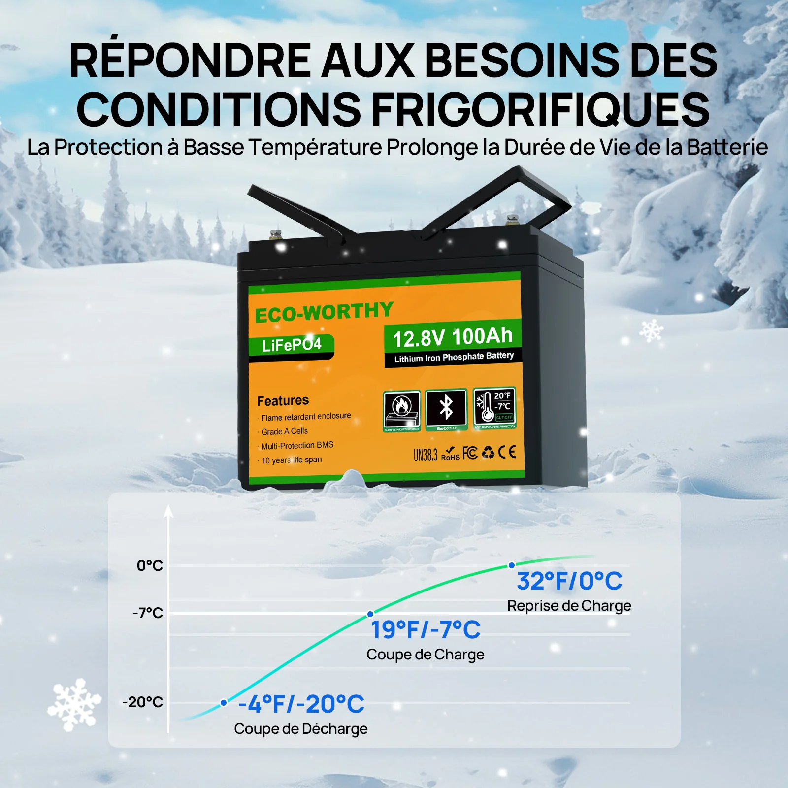 Eco-Worthy Batterie lithium LiFePO4 12V 100Ah avec Bluetooth-Prot. basse temp. - Image 3