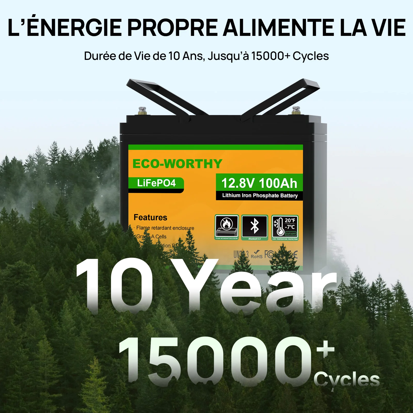 Eco-Worthy Batterie lithium LiFePO4 12V 100Ah avec Bluetooth-Prot. basse temp. - Image 8
