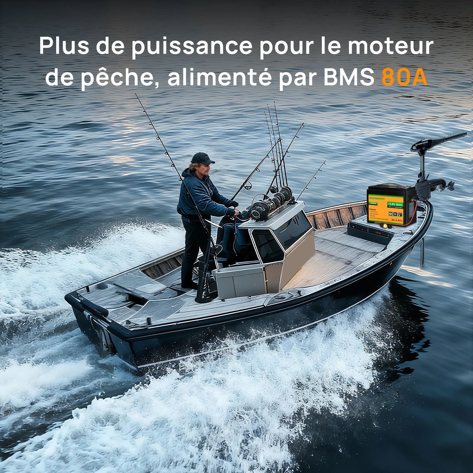 Eco-Worthy Batterie LiFePO4 12V 50Ah avec XT60, Bluetooth, BMS et protection basses températures - Image 7
