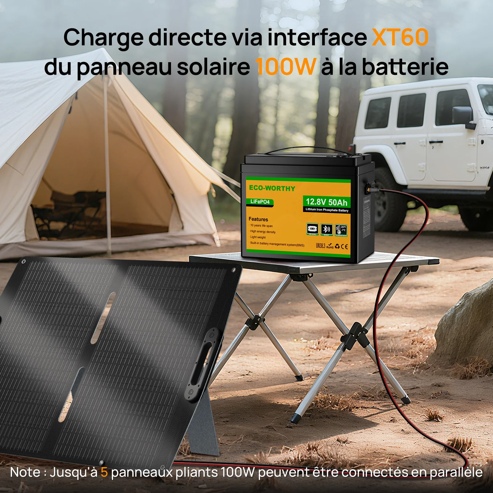 Eco-Worthy Batterie LiFePO4 12V 50Ah avec XT60, Bluetooth, BMS et protection basses températures - Image 8