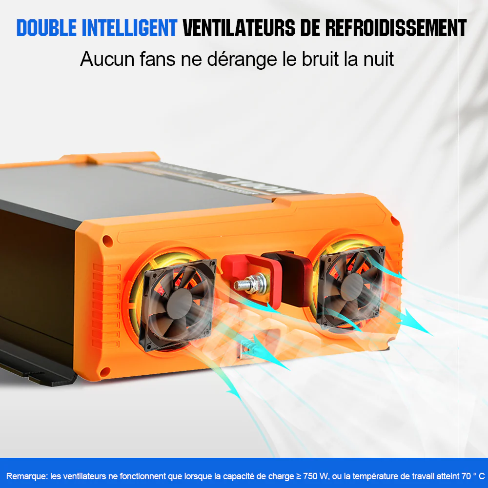 Onduleur pour site isolé du réseau pur sinus 1100VA 12V à 230V - Image 6