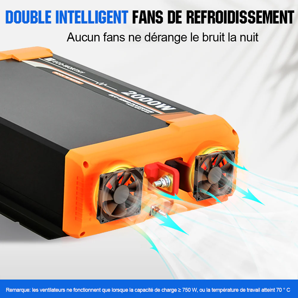 Onduleur pour site isolé du réseau pur sinus 2000VA 12V à 230V - Image 6
