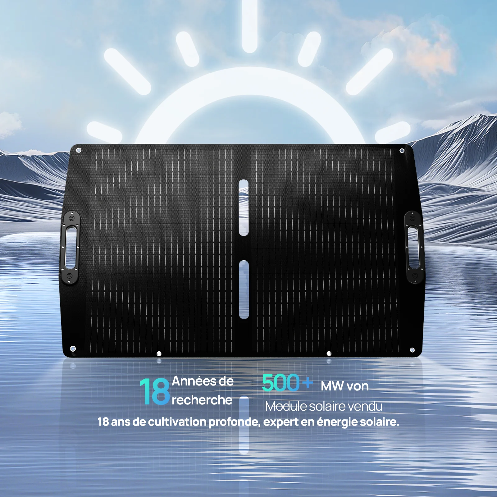 Panneau solaire portable 100W Pro. Pour Camping-car | ECO-WORTHY - Image 9